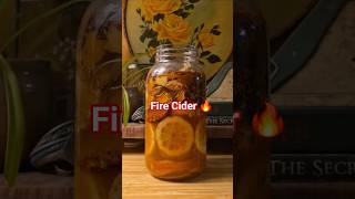 Fire Cider #homesteading #shorts #tutorial