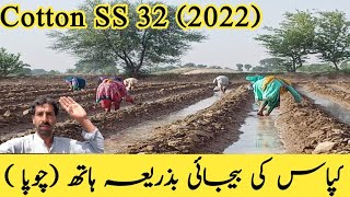 Kapas ki Kasht March 2022 | cotton sowing | #cotton  #s32 #kapas screenshot 3