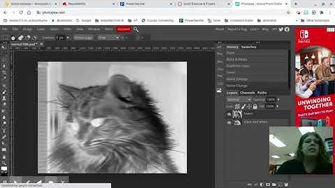 Photopea - Invert Exercise