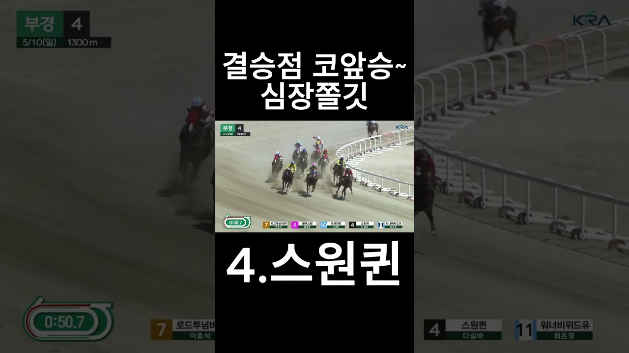 결승점 코앞승 심장쫄깃  #경마  #경마예상  #경마방송  #경마예상방송  #서울경마  #금요경마  #토요경마  #일요경마 #경마장