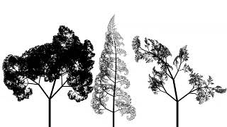 Tree Drawing Experiment