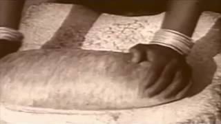 Dr Ian Player  African Roots Are Deep