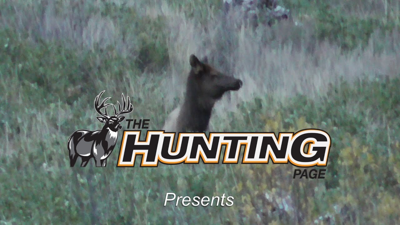 BOYDS RUGER M77 STOCK YouTube