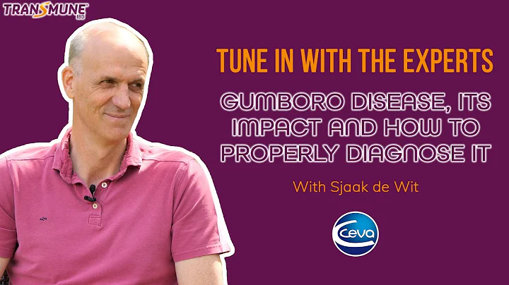 [Special] Gumboro disease. Its impact and how to properly diagnose it (with Sjaak de Wit)