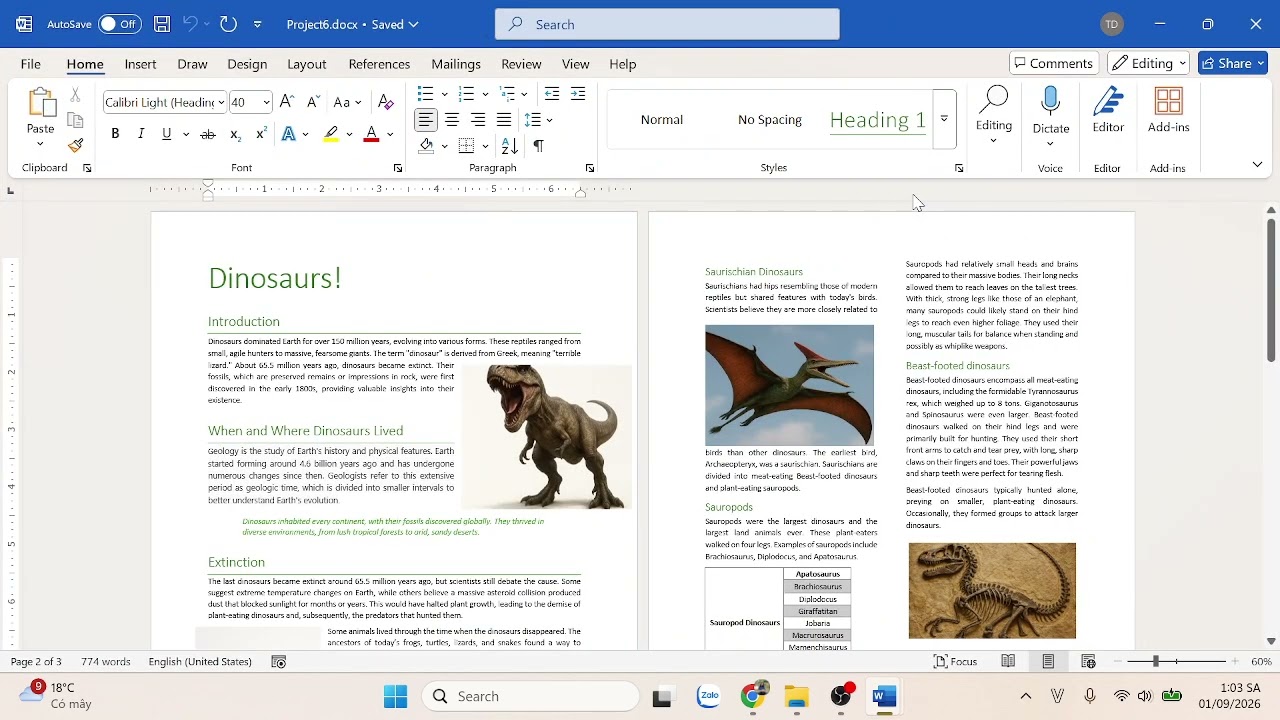 WORD_PROJECT 4 - 5 - 6