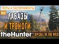 theHunter Call of the Wild #6 СТРИМ 🔫 - Складные Лабазы и Треноги - Новое DLC