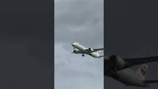 Japan Airways 787 (I saw this like 4 times) #b787 #planespotting #kbos