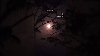 Moon obsessed❤️#shorts #nature #photography #moon#magic #love#trending #viral #explorepage #ytshorts