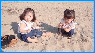 【海でのお砂遊び】今年初の砂浜にパパも大興奮ww【ゆうひなた】