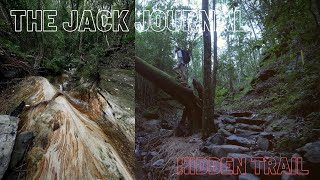 The HIDDEN GEM 5 minutes from Toowoomba! Hiking the FERNTREE GULLY Trail.