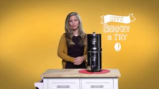 Travel Berkey Water Filter