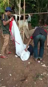 #shorts PERSIAPAN PASANG LAYAR TANCAP DIGITAL BANG DEDE KATUL