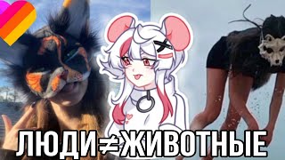 картинка: Реакция на квадроберов из лайка! 4 часть квд!?