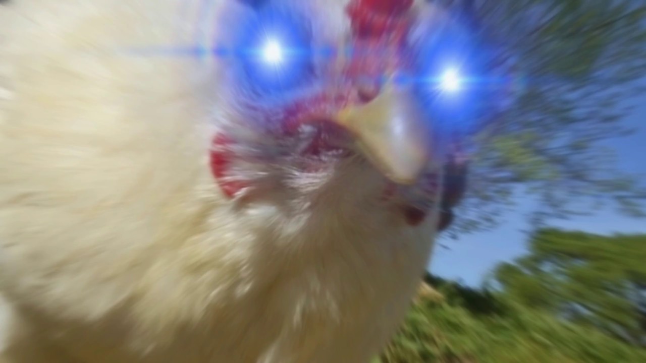 Chicken Song Geco Remix Ear Rape Youtube - chicken song earrape roblox id