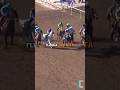 The Breeders Cup Classic Is Here | How Are You Placing Your Wagers?