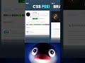Vs code extension 🤫