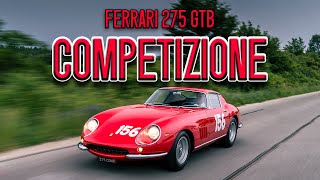 Driving a  Ferrari 275 GTB Competizione! Ferrari 275 Gtb Speciale