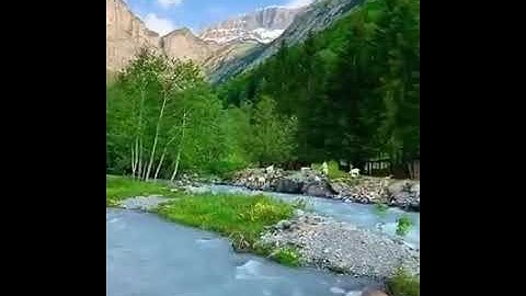 سورة الضحى القارئ هشام الهراز