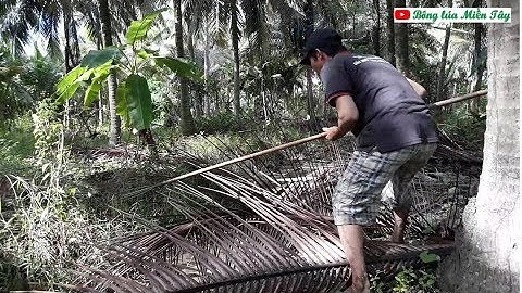 Đâm cá lóc quá siêu và gặp con rắn |  Go fish skewers