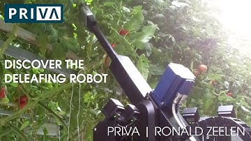 The Deleafing Robot | Priva