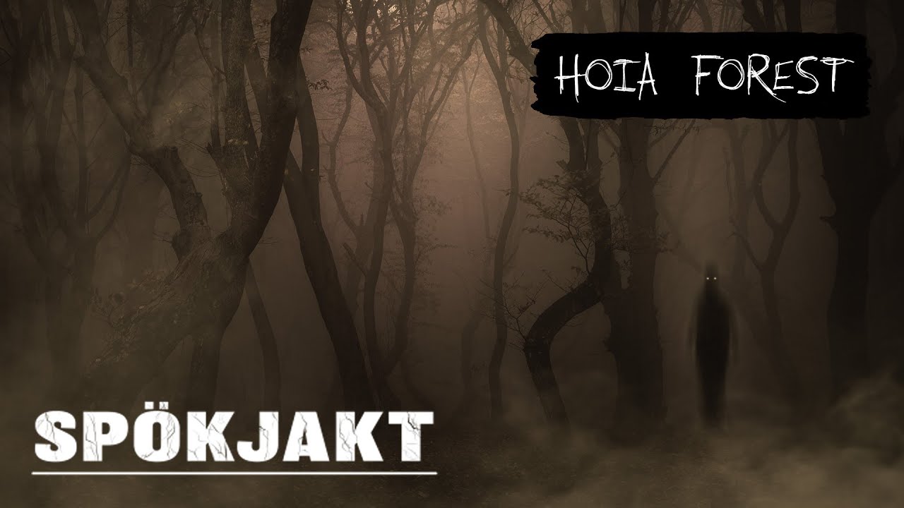 SPÖKJAKT | HOIA FOREST