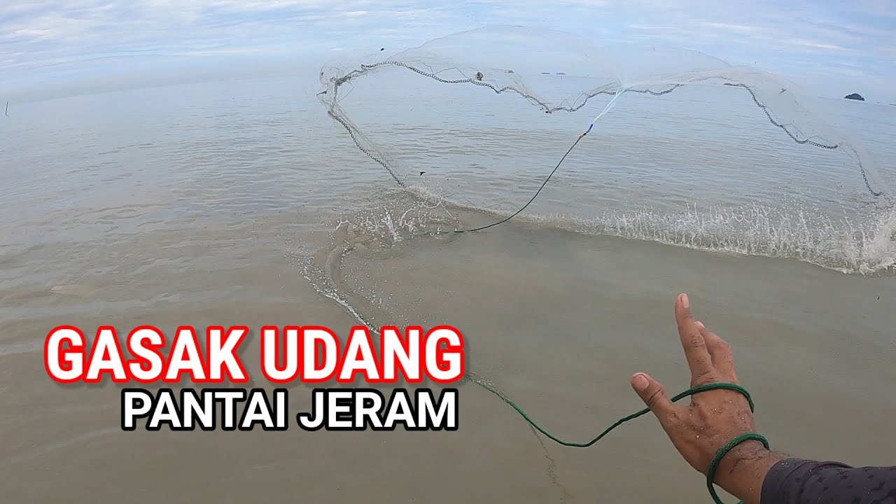 Menjala Udang..Gasak‼️Waktu Air Pasang