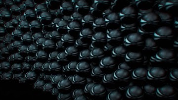 Calcatraz_DSR_Evoke2016