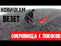 Сокровища с покосов или как везет новичкам. Коп 2019.