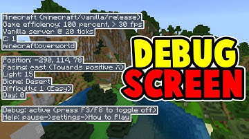 USEFUL Minecraft Debug Screen Addon on Minecraft Bedrock!