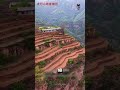 Bí Mật Cách Người Dân Trồng Rau Trên Vách Đá Treo Leo!