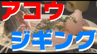 アコウを釣ってお刺身に!ライトショアジギング 釣りよか アコウを釣ってお刺身に!ライトショアジギング 釣りよか
