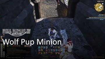 Final Fantasy XIV - Wolf Pup Minion