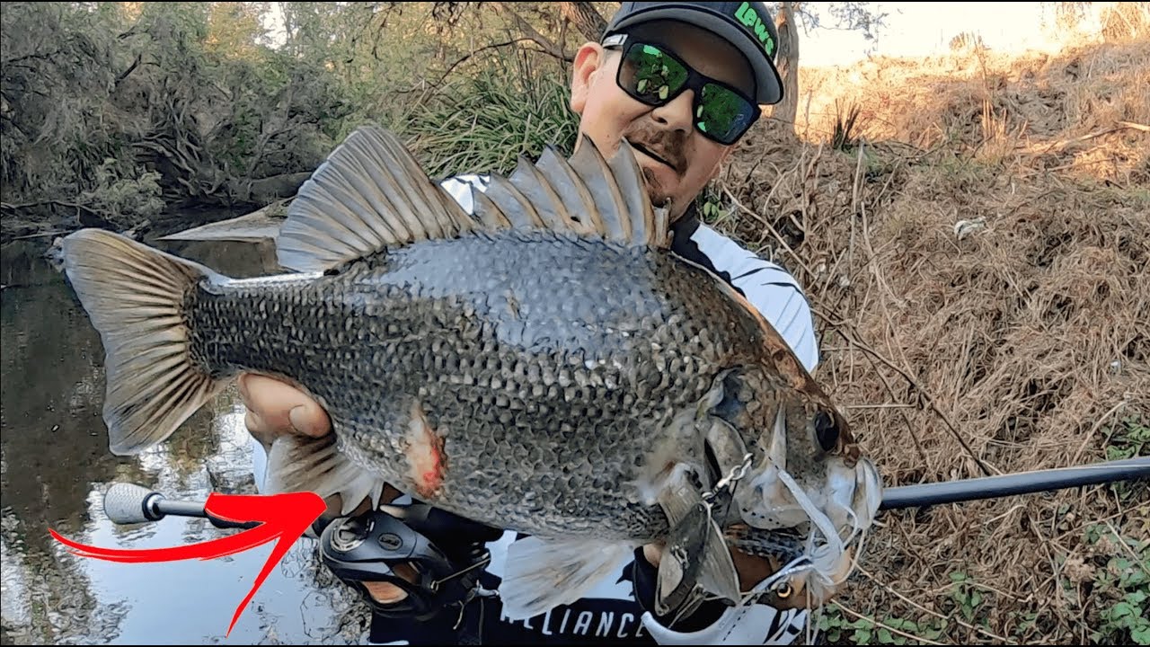 LOGAN RIVER BASS FISHING | First Full Moon Of Spring. - YouTube