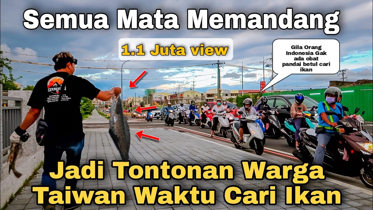 Jadi Tontonan Warga Taiwan Waktu Cari Ikan Besar Semua Mata Memandang Can Kevin