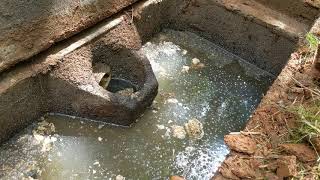 A clogged inlet baffle on a septic tank!