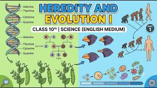 Heredity And Evolution I class 10th english