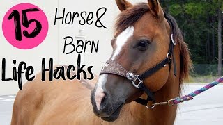 15 EQUESTRIAN LIFE HACKS/TIPS
