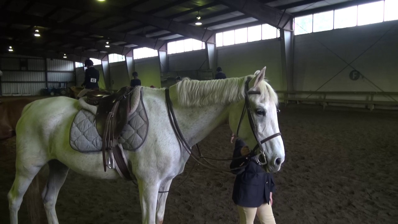 dasha 1 place riding at Jamaica Bay riding acadamy YouTube