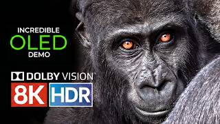 8K REAL HDR - Breathtaking Landscapes &amp; Wild Animals 12K TEST 4K HDR VIDEO ULTRA HD