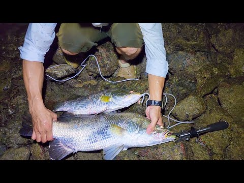 Video Đi câu cá nhồng, cá chẽm - Phần 3 - Câu đêm bắt được... - youtube