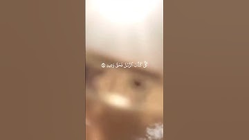كَذَّبَتۡ قَبۡلَهُمۡ قَوۡمُ نُوحٖ وَأَصۡحَٰبُ ٱلرَّسِّ وَثَمُودُ سورة قٓ #احمد_النفيس