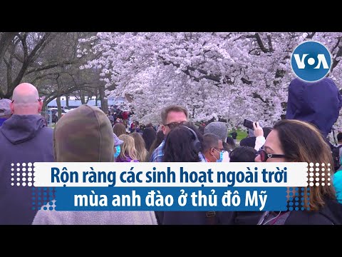 Video: Giải trí Ngoài trời ở Khu vực Washington, D.C