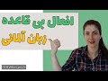 صرف کردن افعال بی قاعده در زبان آلمانی 