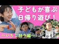 【子どもが喜ぶ!日帰り遊び♪】ママパパ必見!摘み取り!~春のいちご狩り編~