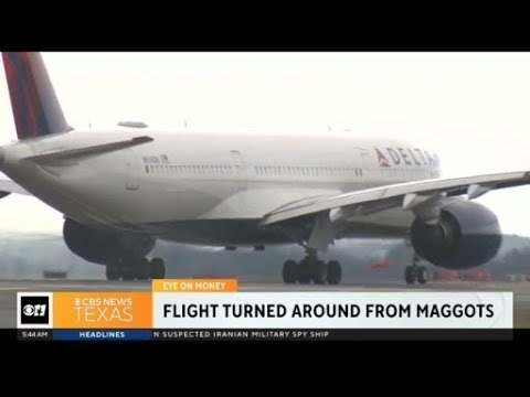 Delta gives vouchers after maggots turns flight around 