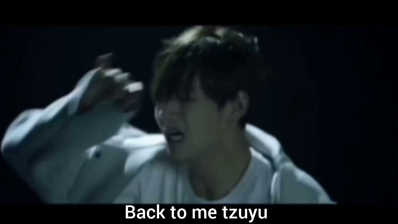 TaeTzu || Taehyung-Tzuyu moment