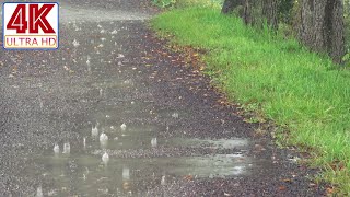 ?[4K] Kırsal kesimde toprak yola düşen yağmurun serin sesi. duş . yağmur sesi . Tayfun. Yağmur mev