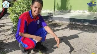 KEGIATAN SEKOLAH SMK BHAKTI MULYA SAMPIT 2022