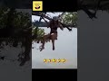 funny videos of the world 49 #shorts #funny #meme