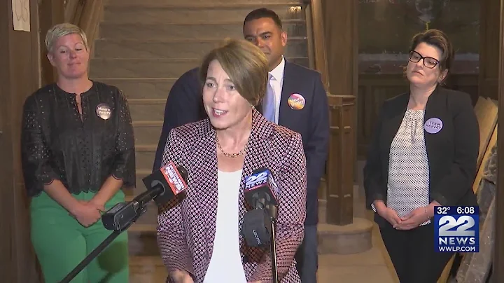 Hoffer will run point for Healey on climate